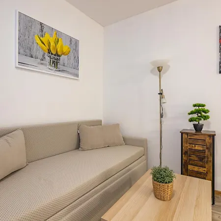 Guest house Country Saloon 3*